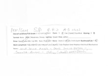 Load image into Gallery viewer, HO Brass PFM - Pacific Fast Mail/G. O. Model Works - Southern Railroad A-3 4-4-2