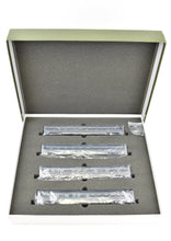 Load image into Gallery viewer, HO Brass CIL - Challenger Imports SP - Southern Pacific 1941 Lark 9-Car Set FP