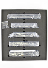 Load image into Gallery viewer, HO Brass CIL - Challenger Imports SP - Southern Pacific 1941 Lark 9-Car Set FP