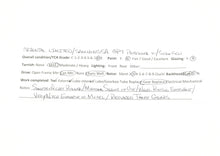 Load image into Gallery viewer, HO Brass Oriental Limited Various Roads EMD GP7 1500 HP Non-Dynamic Passenger Version