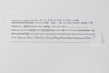 Load image into Gallery viewer, HO Brass OMI - Overland Models Inc. UP - Union Pacific EMD F-3 PH II B Unit