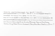 Load image into Gallery viewer, HO Brass Oriental Limited UP - Union Pacific EMD SD24B 2400 HP Cabless Version CP #406B