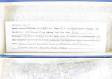 Load image into Gallery viewer, HO Brass Model West CNJ - Central Railroad Of New Jersey 4-6-4T H-1s Custom Painted