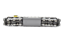 Load image into Gallery viewer, HO Brass OMI - Overland Models, Inc. UP - Union Pacific EMD SD45 Pro-Painted No. 3604