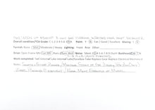 Load image into Gallery viewer, HO Brass OMI - Overland Models, Inc. UP - Union Pacific GE 8500 HP Gas Turbine "Big Blow" 3-Unit Set Unpainted w/ Raised Farr Inlet Silencer