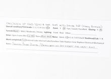 Load image into Gallery viewer, HO Brass OMI - Overland Models Inc. UP - Union Pacific EMD SD40 Nos. 3008-3039