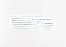 Load image into Gallery viewer, HO Brass OMI - Overland Models, Inc. SSW - Cotton Belt GE Dash 8-B39 Factory Painted