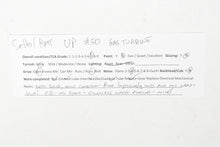 Load image into Gallery viewer, HO Brass S. Soho & Co. UP - Union Pacific No. 50 Double Ended Gas Turbine