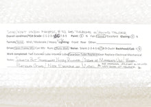 Load image into Gallery viewer, HO Brass S. Soho & Co. UP - Union Pacific No. 51 Gas Turbine with Round Tender Custom Painted