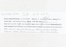 Load image into Gallery viewer, HO Brass Westside Model Co. SP - Southern Pacific Class P-10 4-6-2 Streamlined Pro Painted Daylight No. 2484 Can Motor Upgrade