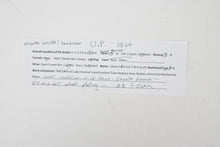 Load image into Gallery viewer, HO Brass Oriental Limited UP - Union Pacific EMD SD24 2400 HP Low Hood Version Custom Painted No. 403