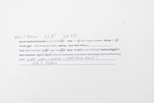 Load image into Gallery viewer, HO Brass OMI - Overland Models Inc. UP - Union Pacific EMD SD40 Nos. 3083 - 3122 w/Extended Range Dynamic Brake, Dash-2 Housing