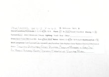 Load image into Gallery viewer, HO Brass CON PFM - United GN - Great Northern L-2 Class 2-6-6-2 Crown Model Painted Unlettered ReBoxx