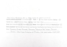 Load image into Gallery viewer, HO Brass CON OMI - Overland Models Inc. NYC, CIL, PRR, and B&O Baldwin RF-16 Shark Nose A/B/A Set