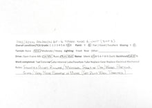 Load image into Gallery viewer, HO Brass CON OMI - Overland Models Inc. NYC, CIL, PRR, and B&O Baldwin RF-16 Shark Nose A/B/A Set