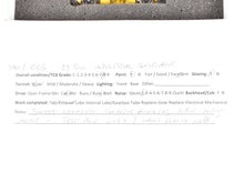 Load image into Gallery viewer, HO Brass OMI - Overland Models Inc. 23-Ton Industrial Switcher "Trackmobile" Factory Painted