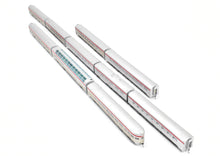 Load image into Gallery viewer, HO Brass UTI - Union Terminal Imports No. 2001 SP - Southern Pacific 1960s Coast Daylight 10 Car Set FP