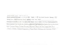 Load image into Gallery viewer, HO Brass Westside Model Co. SP - Southern Pacific SP-1 4-10-2