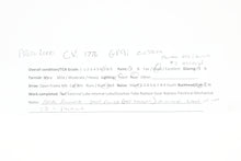 Load image into Gallery viewer, HO Life-Like Proto 2000 CV – Central Vermont or GTW – Grand Trunk Western EMD GP9 Custom Painted #1776 Bi-Centennial w/ Tsunami DCC & Sound