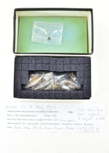 Load image into Gallery viewer, HO Brass Northwest Short Line - Various - 18 ton Class "A" Shay - Geared Locomotive