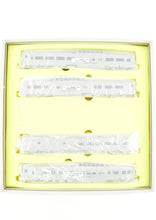 Load image into Gallery viewer, HO Brass TCY - The Coach Yard D&RGW - Denver & Rio Grande Western Rio Grande Zephyr 8-Car Set