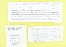 Load image into Gallery viewer, HO Brass CON PFM - Toby DM&IR - Duluth, Missabe, & Iron Range 2-8-8-4 Yellowstone Handbuilt 1960 Run