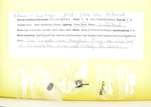 Load image into Gallery viewer, HO Brass Hallmark Models ATSF - Santa Fe 2900 Class Modernized 4-8-4 "Super Crown" FP No. 2909