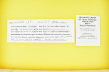 Load image into Gallery viewer, HO Brass PFM - Tenshodo UP - Union Pacific 4-6-6-4 Challenger FP No. 3950