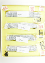 Load image into Gallery viewer, HO Brass CON PSC - Precision Scale Co. SP - Southern Pacific Lark Pre-War 9-Car Set FP