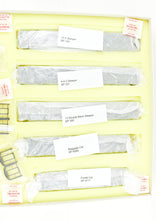 Load image into Gallery viewer, HO Brass CON PSC - Precision Scale Co. SP - Southern Pacific Lark Pre-War 9-Car Set FP