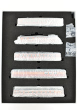 Load image into Gallery viewer, HO Brass CON CIL - Challenger Imports SP - Southern Pacific 1955 Shasta Daylight 10-Car Set FP