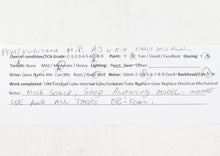 Load image into Gallery viewer, HO Brass PFM - Fujiyama NP - Northern Pacific 4-8-4 Class A-3 1972 Run