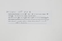 Load image into Gallery viewer, HO Brass OMI - Overland Models, Inc. UP - Union Pacific EMD F-7 B #910B,C Passenger
