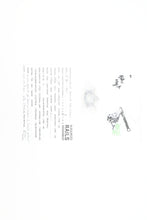 Load image into Gallery viewer, O Brass Key Imports UP - Union Pacific ALCO PA1/2-PB1/2 Streamliner Set Factory Painted Nos. 996A &amp; 996B
