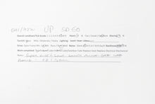 Load image into Gallery viewer, HO Brass OMI - Overland Models, Inc. UP - Union Pacific EMD SD60 Custom Painted No. 6019
