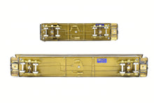 Load image into Gallery viewer, HOn3 Brass NJ Custom Brass Sumpter Valley Coach and Mail-Baggage Car Set
