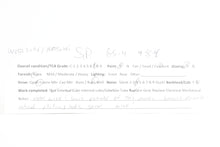 Load image into Gallery viewer, HO Brass Westside Model Co. SP - Southern Pacific Class GS-4 4-8-4 Factory Painted Daylight #4456 w/Tsunami2 DCC and Sound
